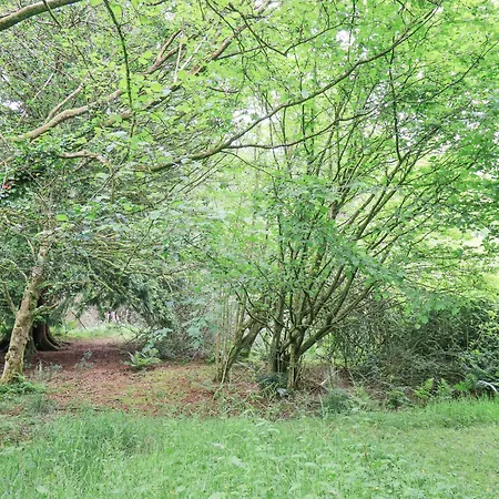 Feriehus Bracken Ground